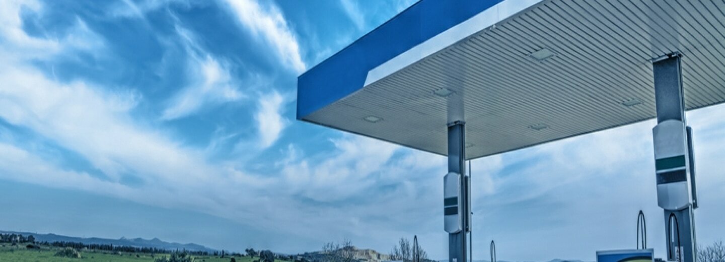 Raman Process Monitoring with Process Instruments Inc.